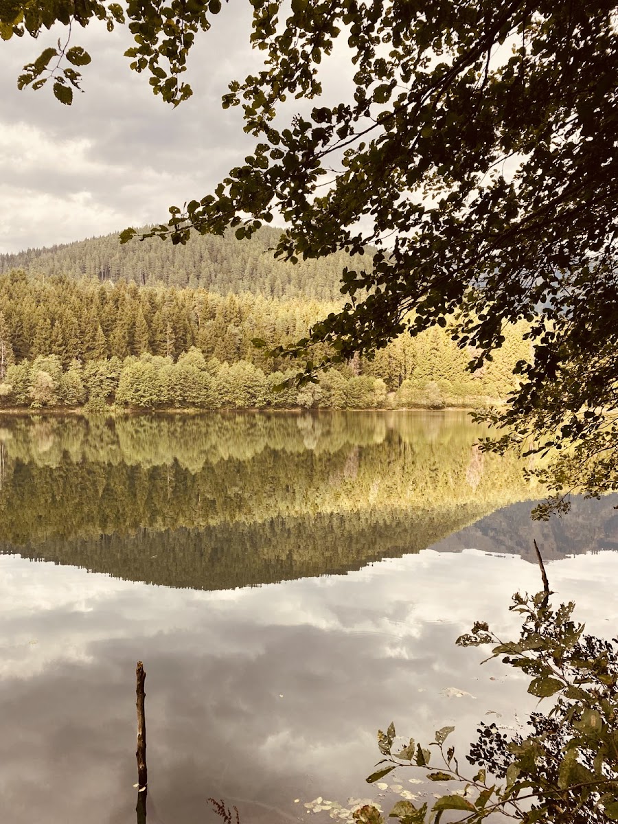 Karagöl-Sahara Milli Parkı — fotoğraf 2
