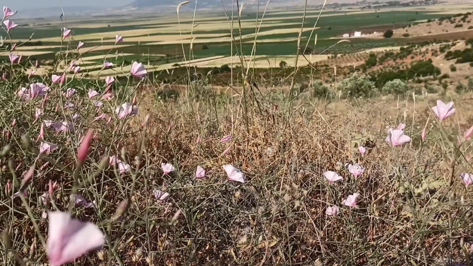 Karahüyük — fotoğraf