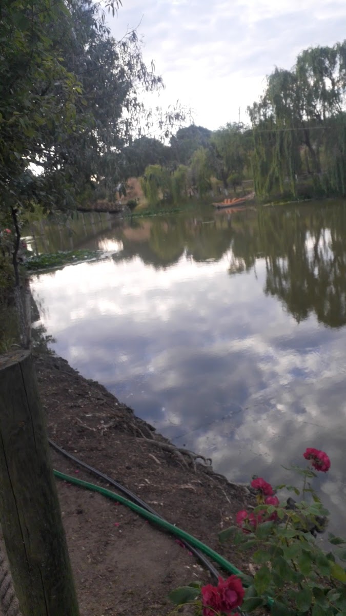 Karakuş Aile Çay Bahçesi — fotoğraf 2