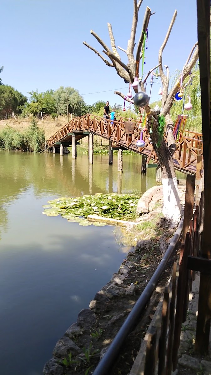 Karakuş Aile Çay Bahçesi — fotoğraf 3