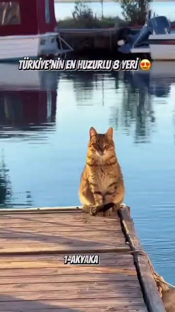 Karamürsel Sahili — fotoğraf 2