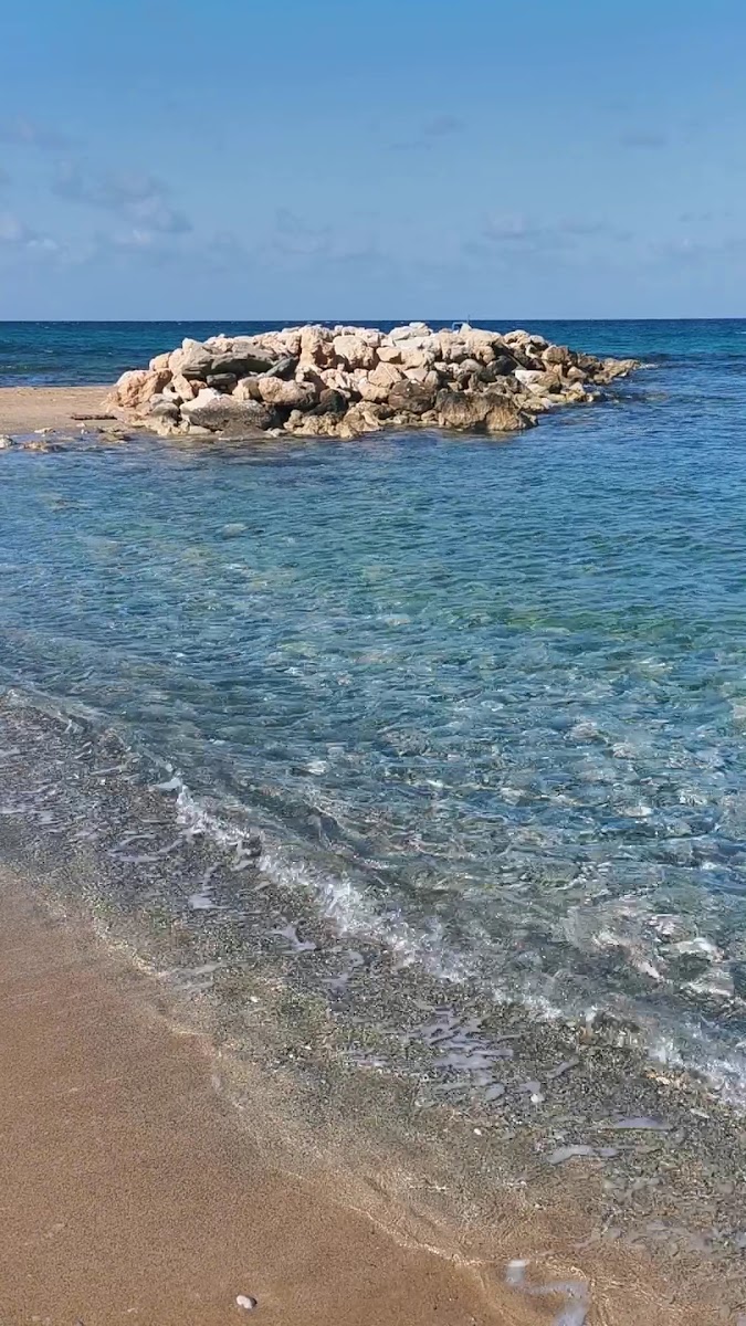 Karaoğlanoğlu Halk Plajı — photo 3