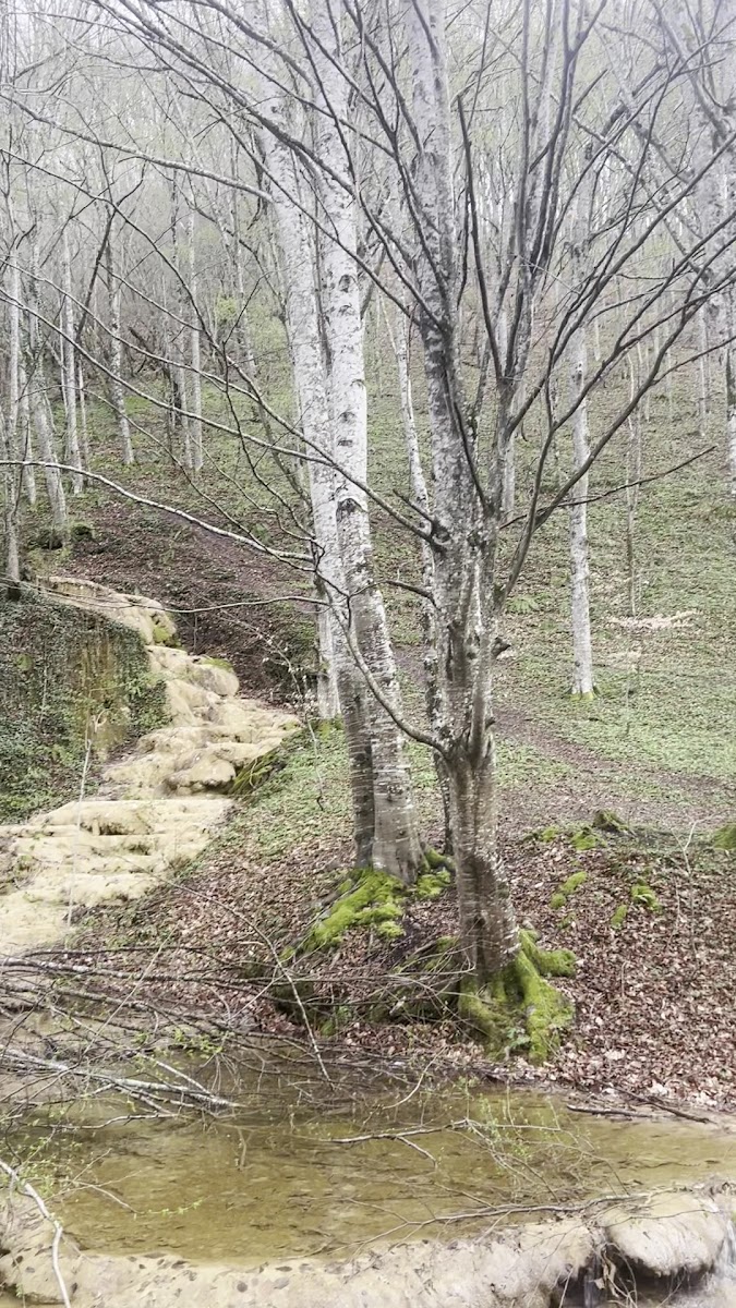 Karapınar Şelalesi — fotoğraf 3