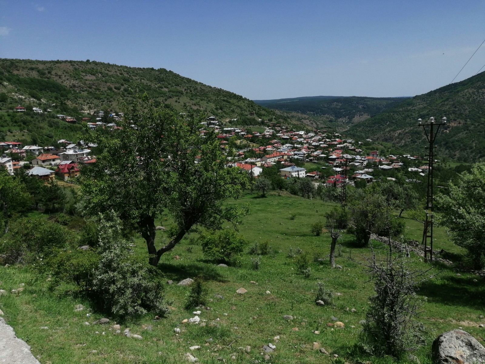 Karaşar — fotoğraf