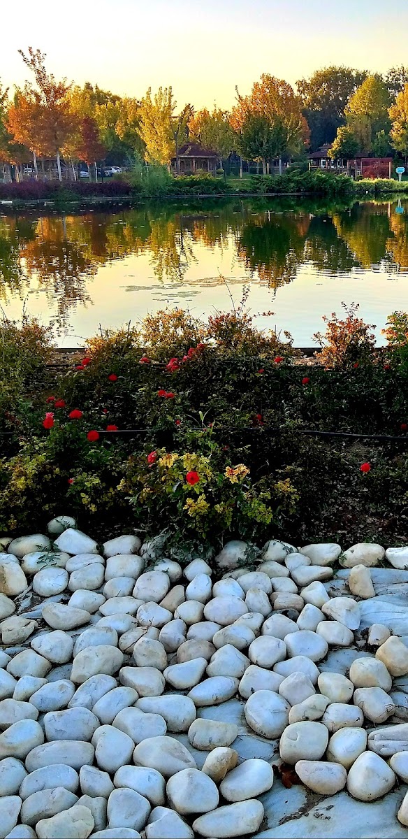 Karatay Şehir Parkı — fotoğraf 2