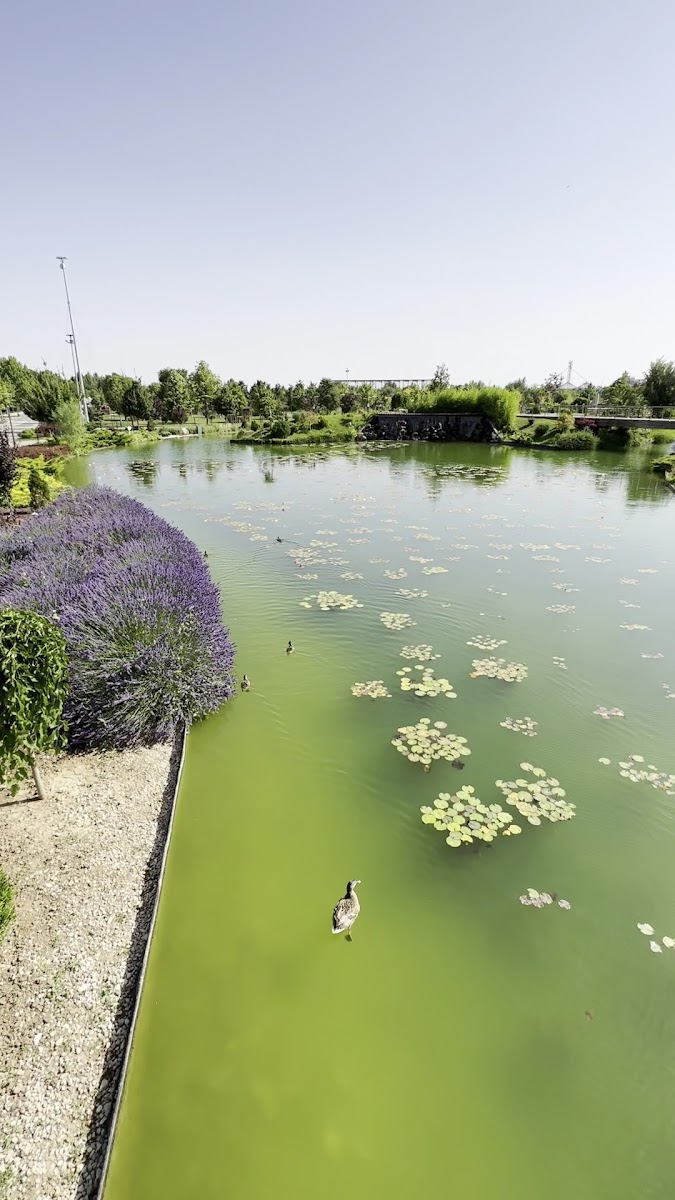 Karatay Şehir Parkı — fotoğraf 3