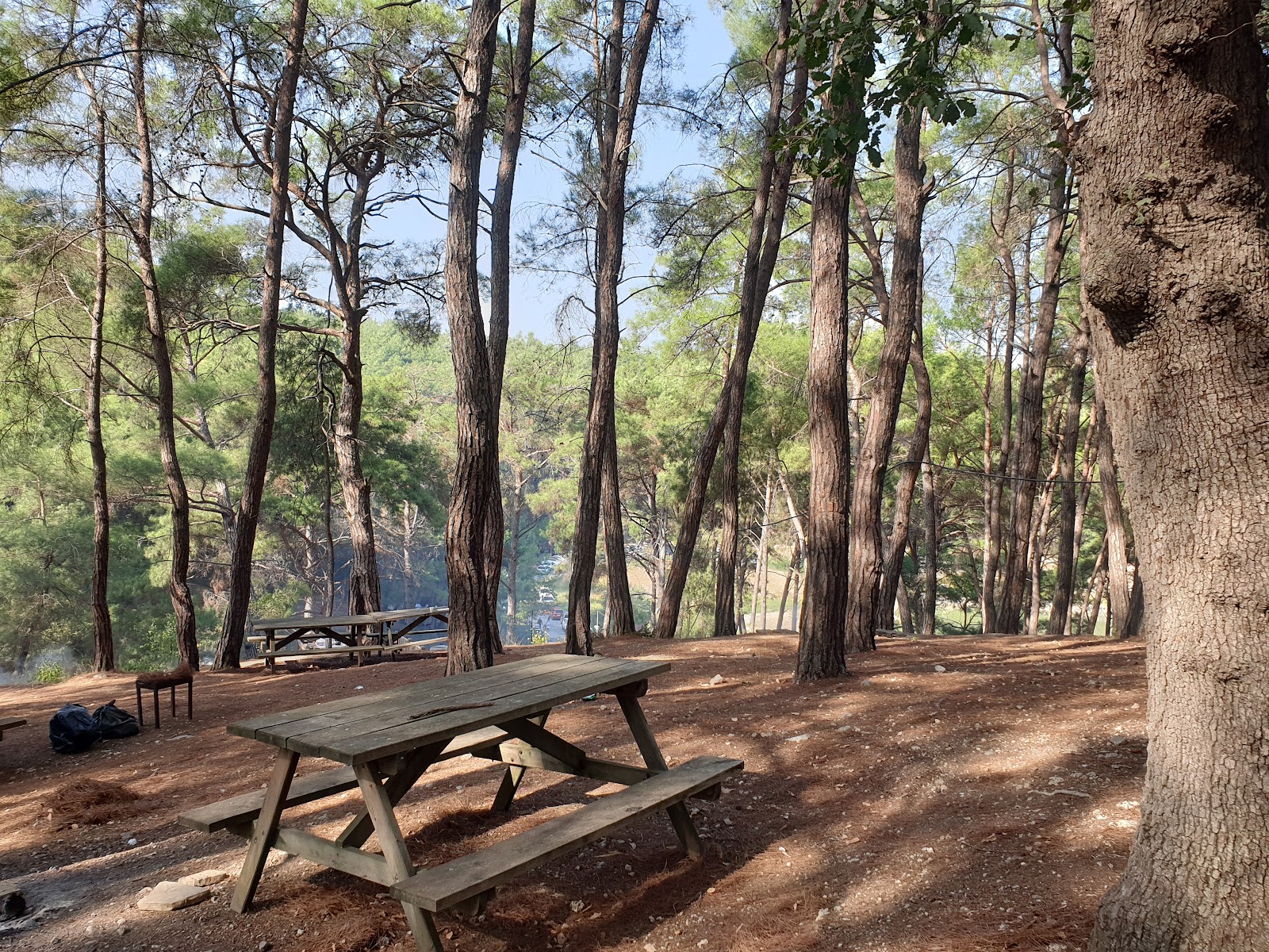 Karatepe Mesire Alanı — fotoğraf