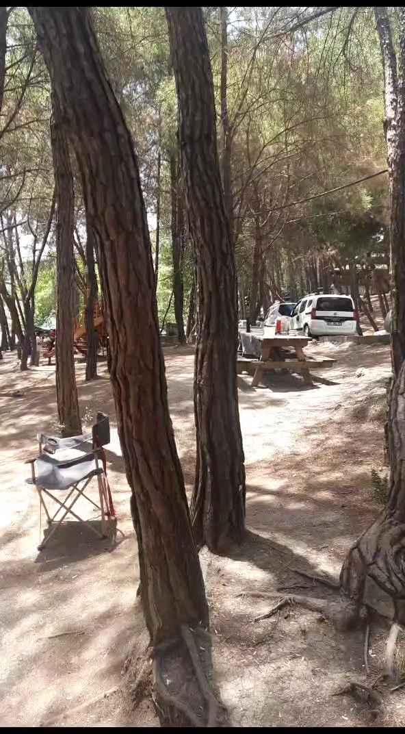 Karatepe Mesire Alanı — fotoğraf 3