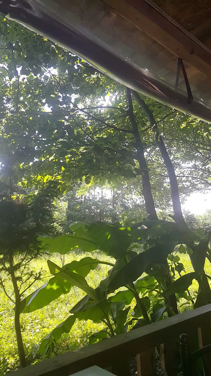 Kardak Bizim Et Yeri — fotoğraf 3