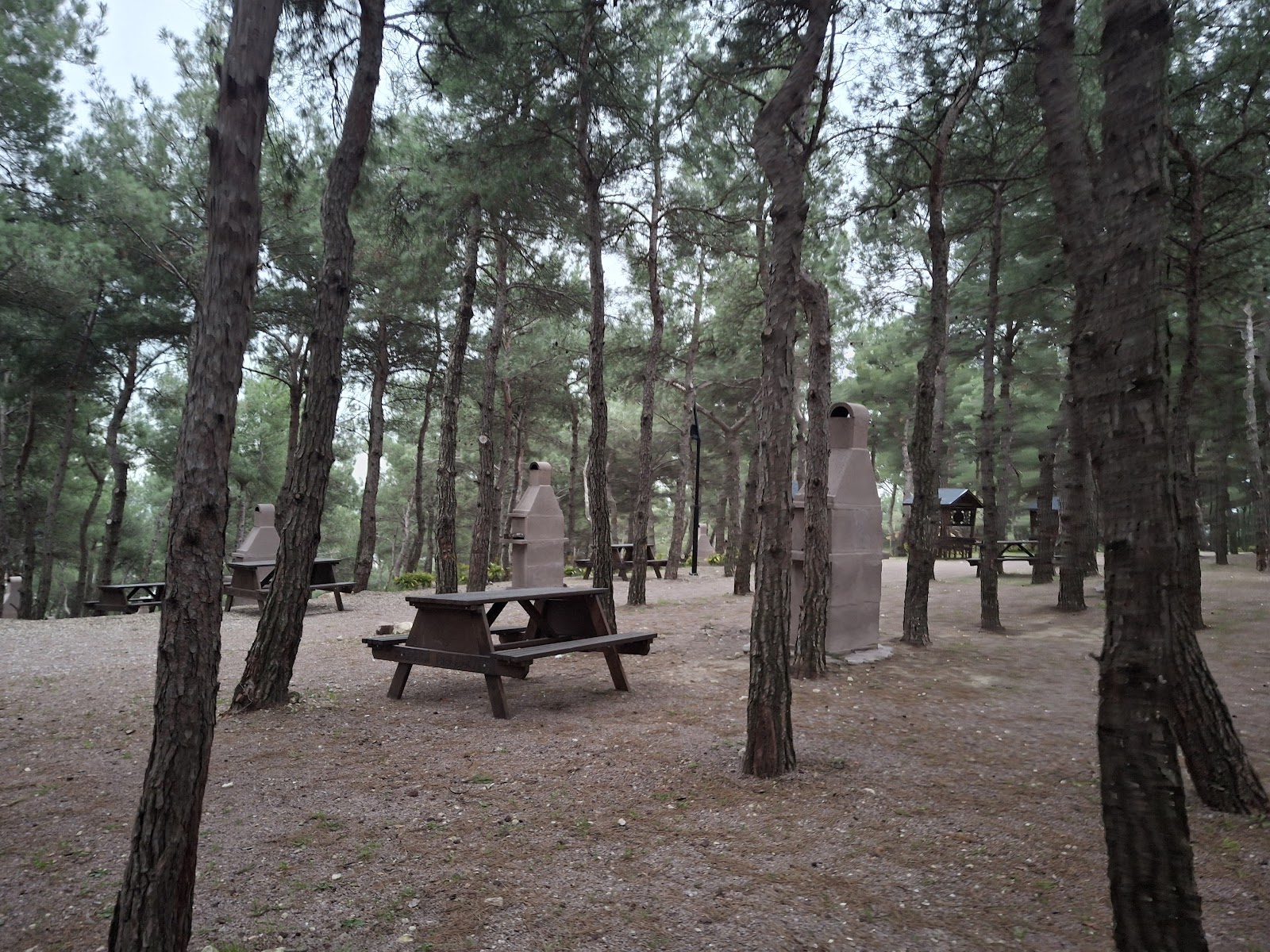 Karesi Doğa Parkı — fotoğraf 2