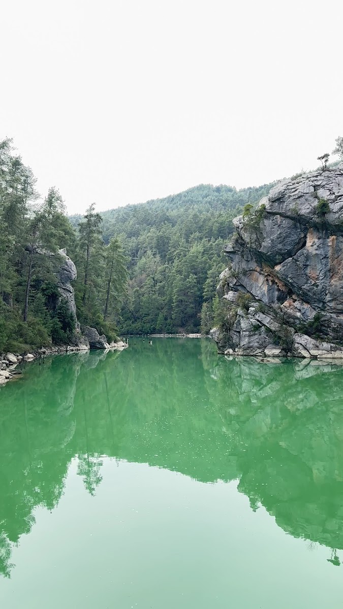 Kargı Köyü Sığla Ormanı Tabiatı Koruma Alanı — fotoğraf 2