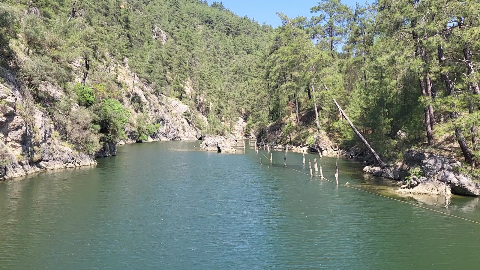 Kargı Köyü Sığla Ormanı Tabiatı Koruma Alanı — fotoğraf 3