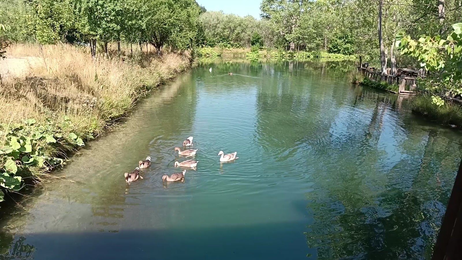 Kargı Tatil Köyü — fotoğraf 3