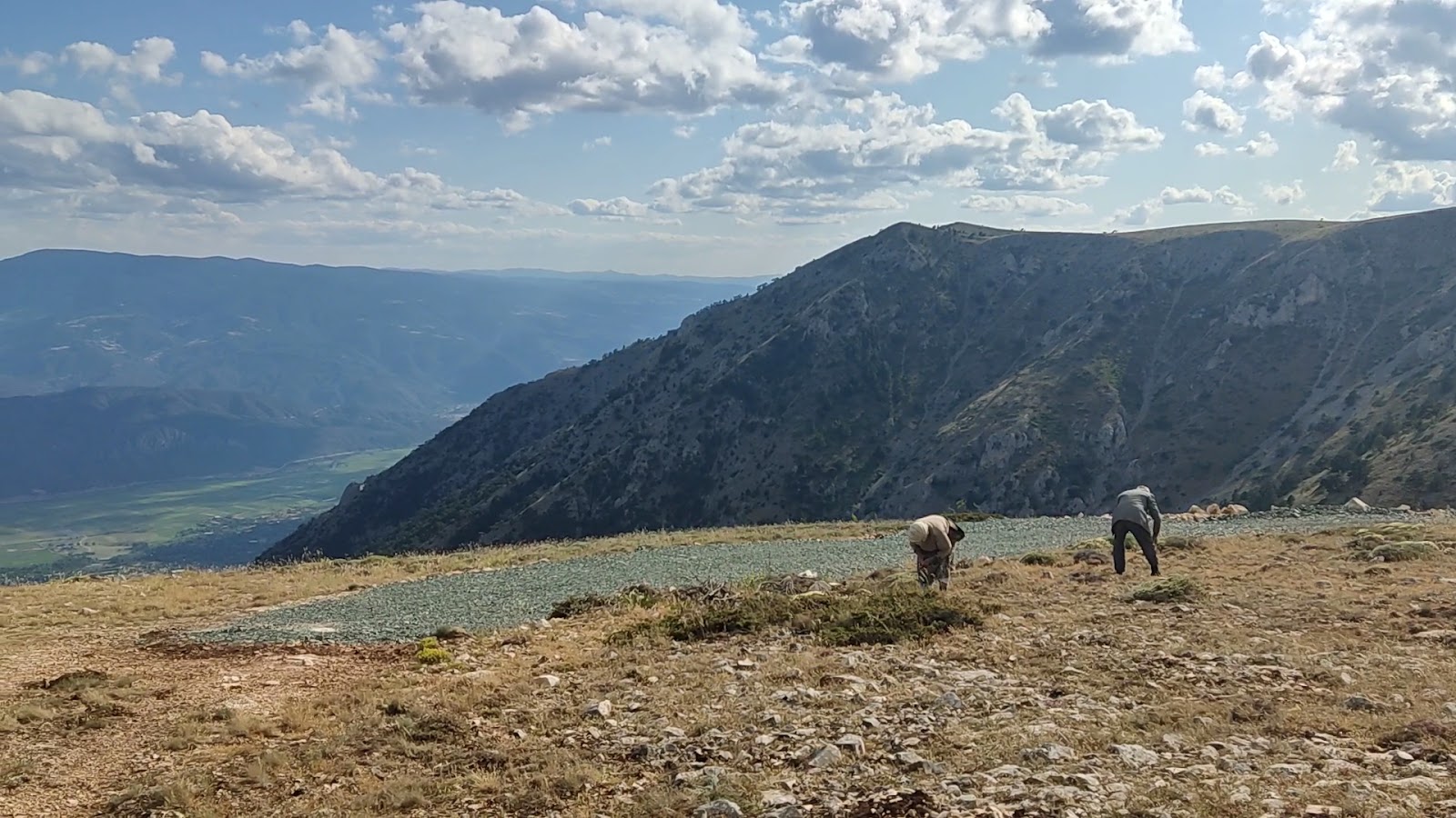 Kargı Yaylası — fotoğraf 3