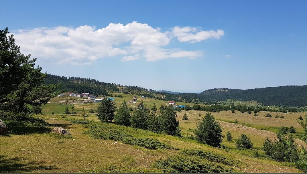 Kargı Yaylası — fotoğraf 4