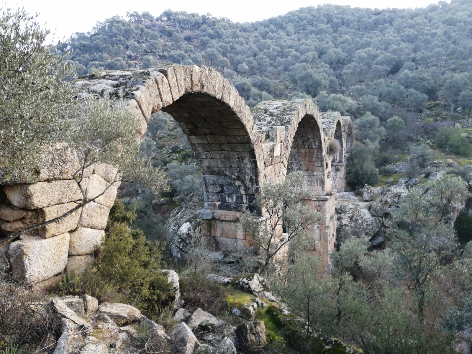 Kargı — photo