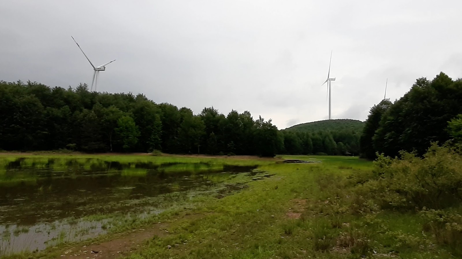Karlık Yaylası — fotoğraf 2