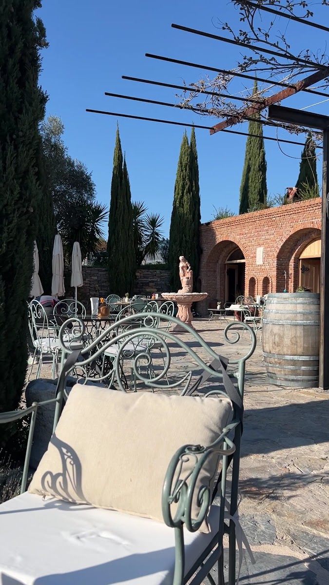 Karnas Vineyards — photo 3