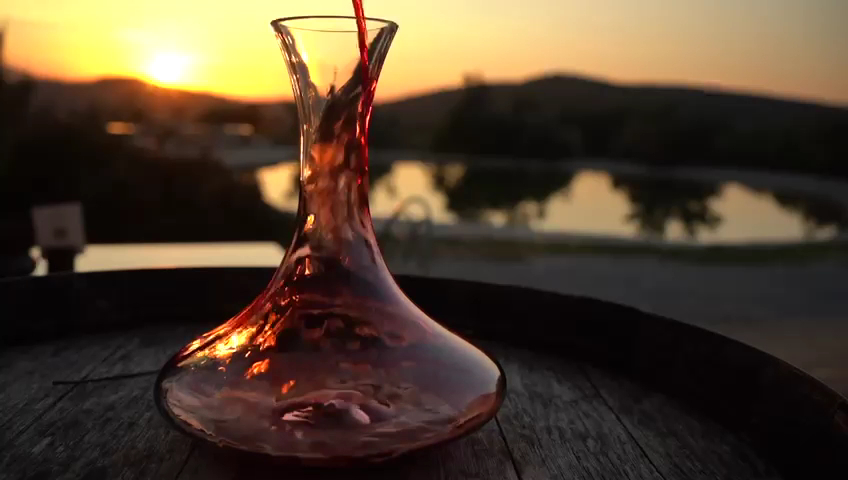 Karnas Vineyards — photo 4