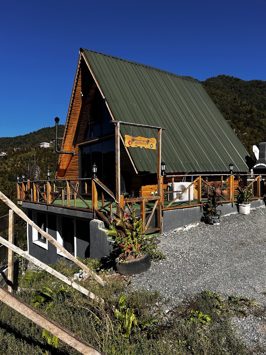 Karşıköy Bungalov — fotoğraf 5