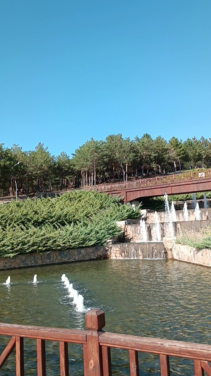 Karşıyaka Mesire Alanı — fotoğraf 3