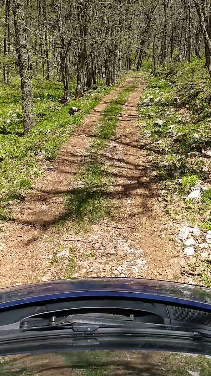 Kasnak Meşesi Tabiatı Koruma Alanı — fotoğraf 3