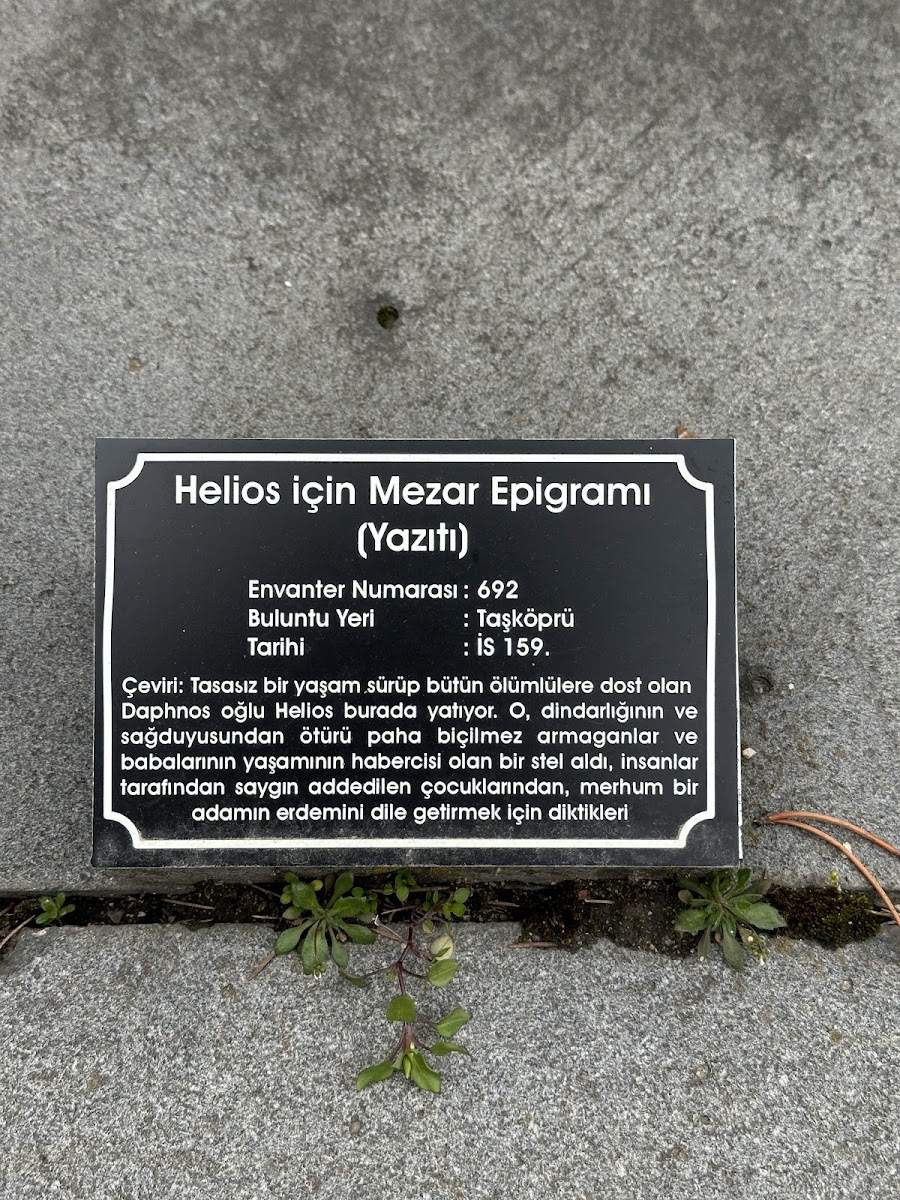 Kastamonu Arkeoloji Müzesi — fotoğraf 2