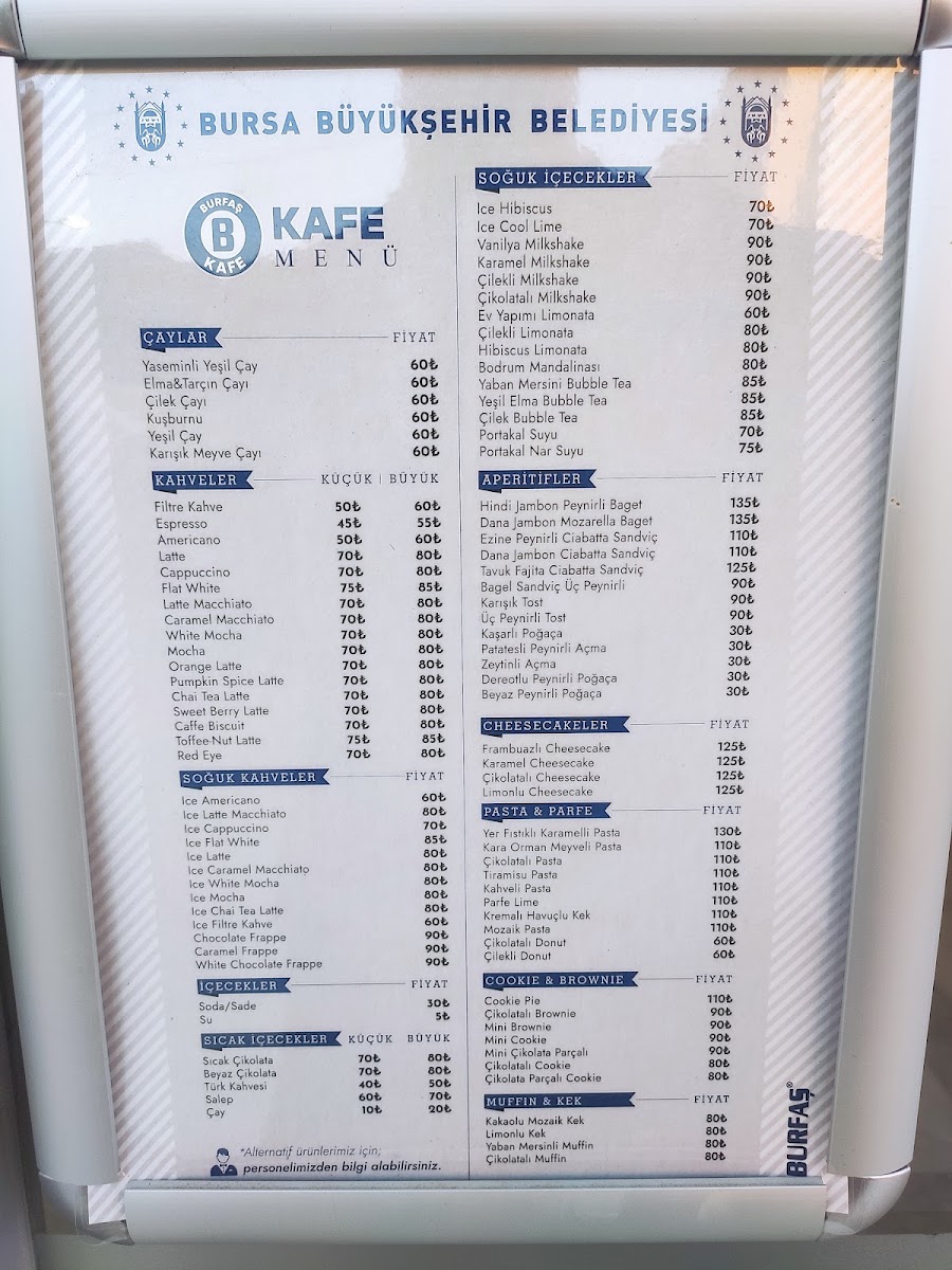 Kat 3 — photo 2