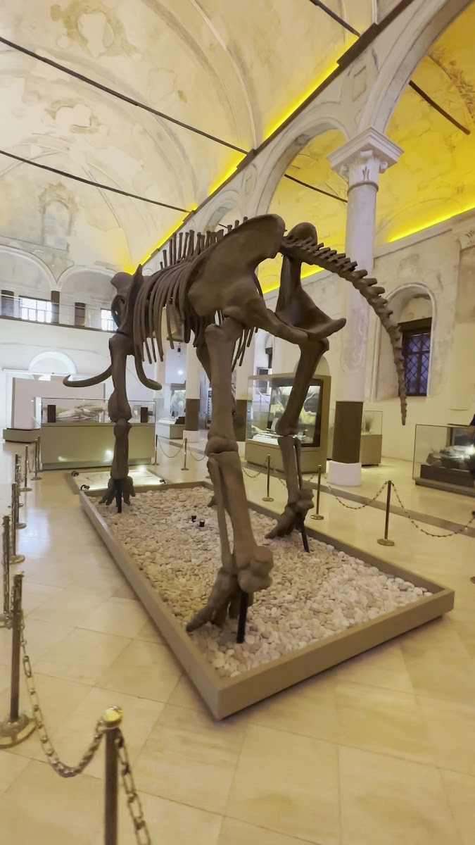 Kavaklı Rum Kilisesi — fotoğraf 2