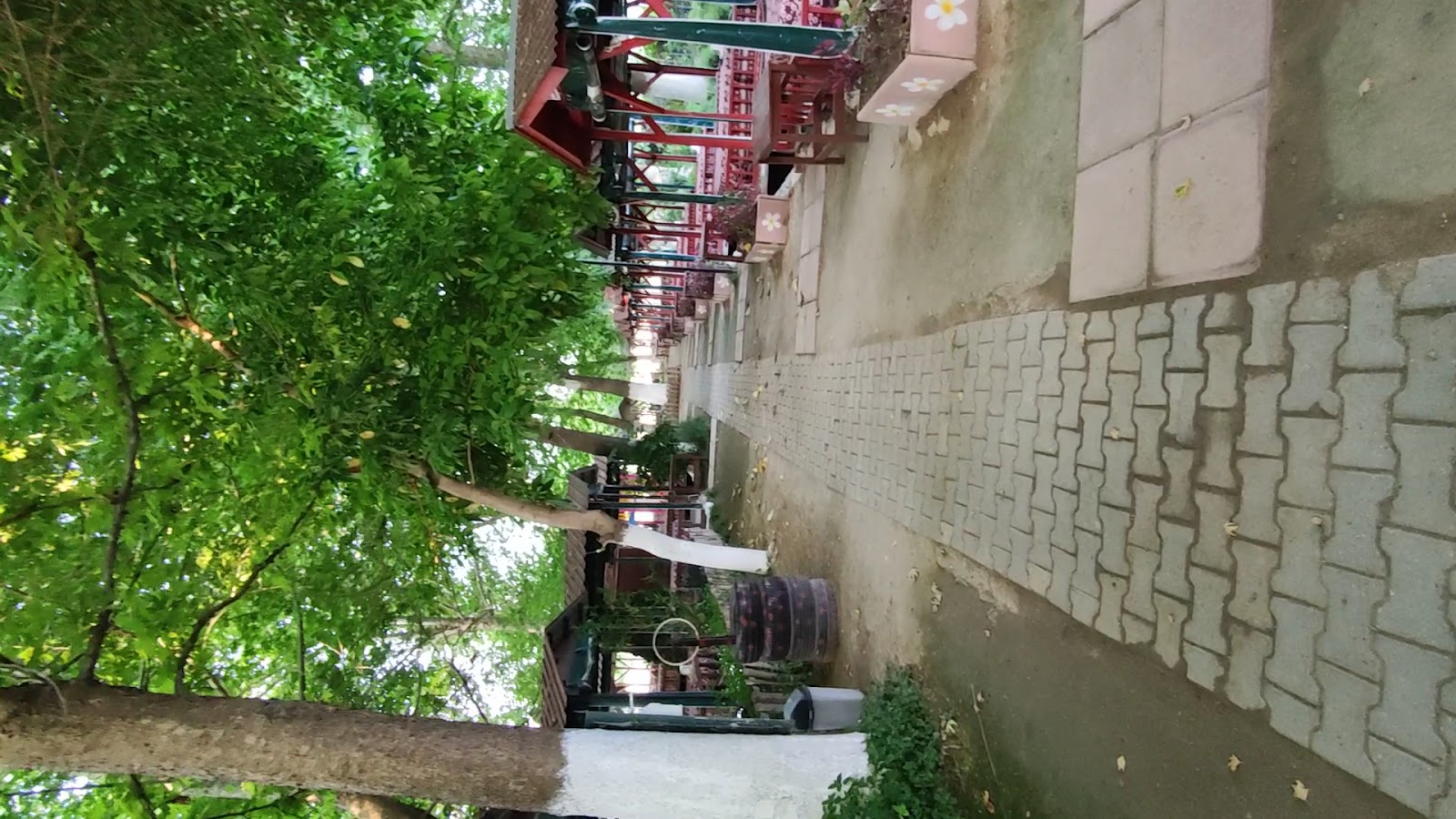 Kavaklıdere Restaurant Alkolsüz — photo 9