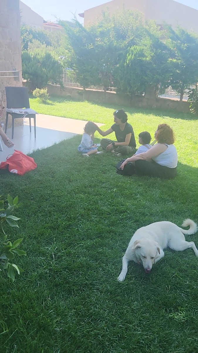 KAYA KORUĞU CUNDA — fotoğraf 8
