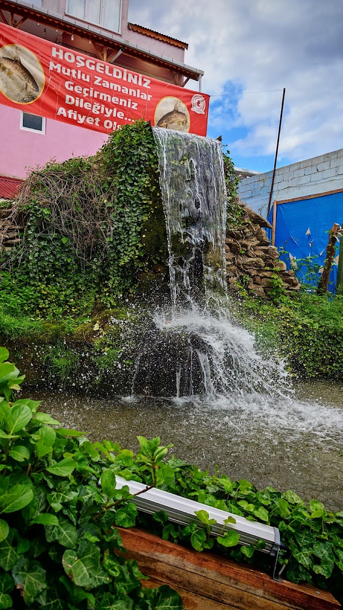 Kaynarca Alabalık Restaurant — fotoğraf 2