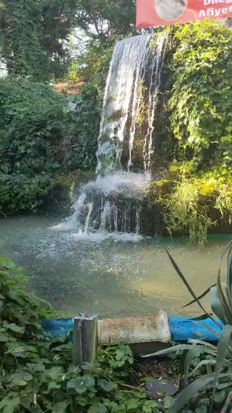 Kaynarca Alabalık Restaurant — fotoğraf 3