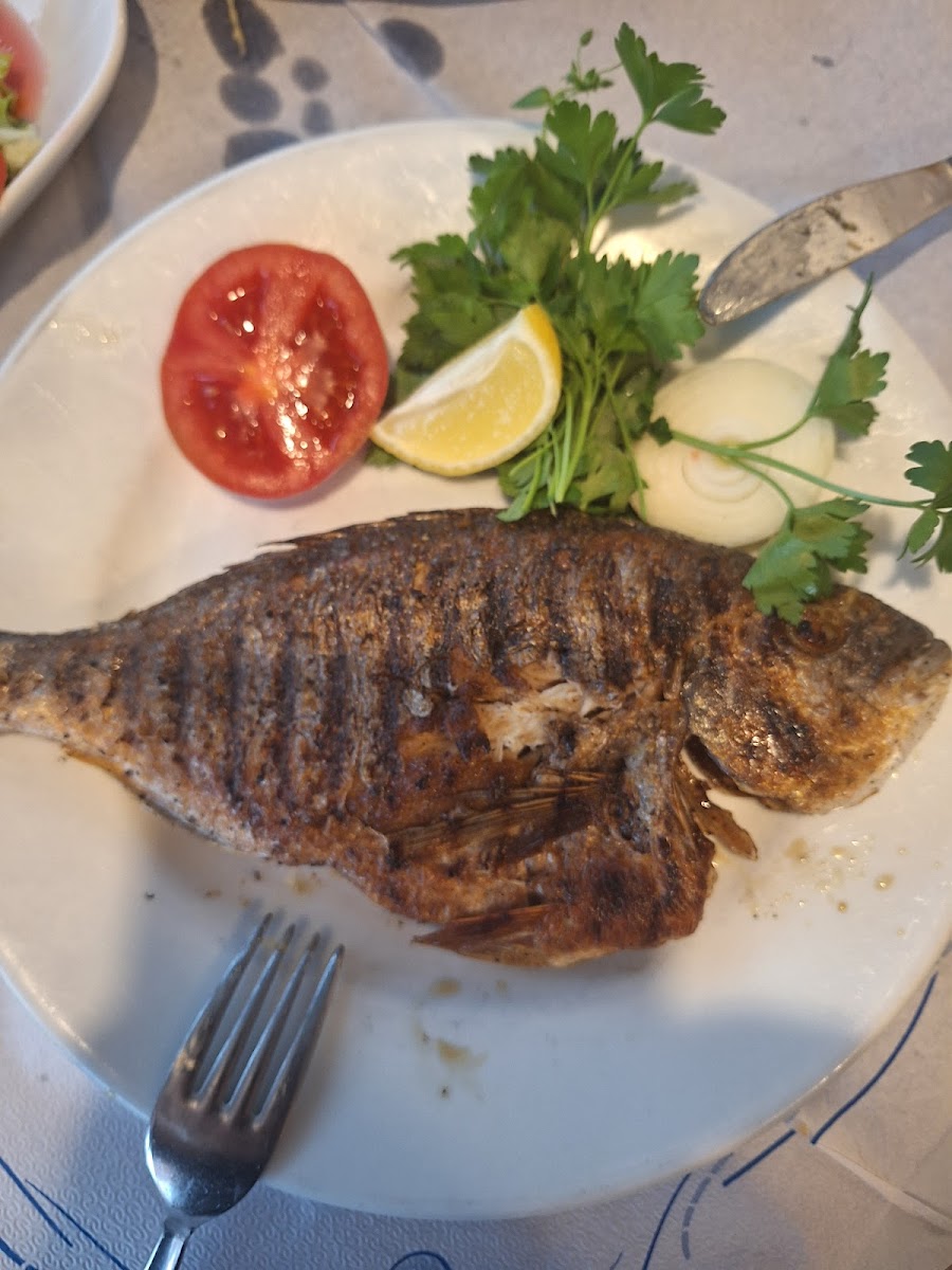 Kaynarca Alabalık Restaurant — fotoğraf 5