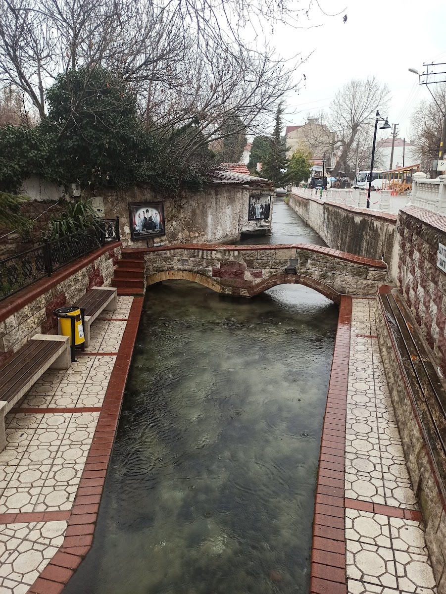 Kaynarca Su Kaynağı — fotoğraf