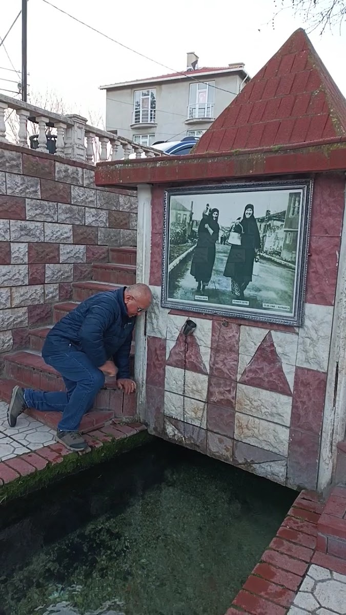 Kaynarca Su Kaynağı — fotoğraf 2