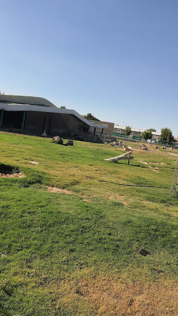Kayseri Hayvanat Bahçesi — fotoğraf 4