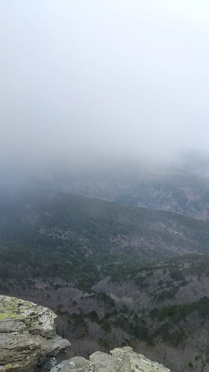 Kazdağı Milli Parkı — fotoğraf 2