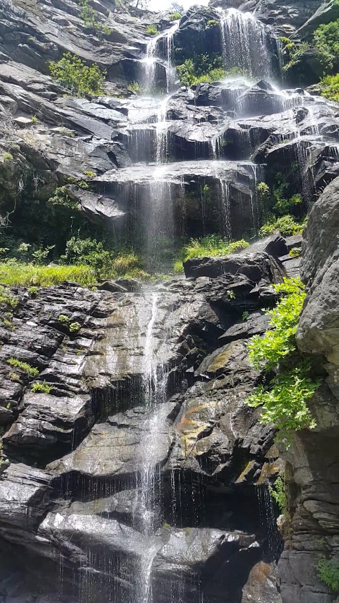 Kazdağı Milli Parkı — fotoğraf 5
