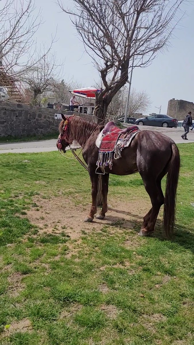 Keçi Burcu — fotoğraf 3