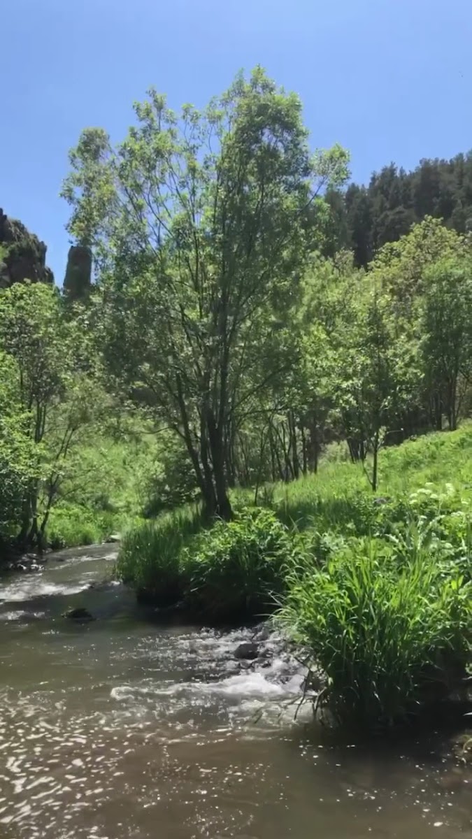 Keklik Deresi Canlı Alabalık Tesisleri — fotoğraf 3