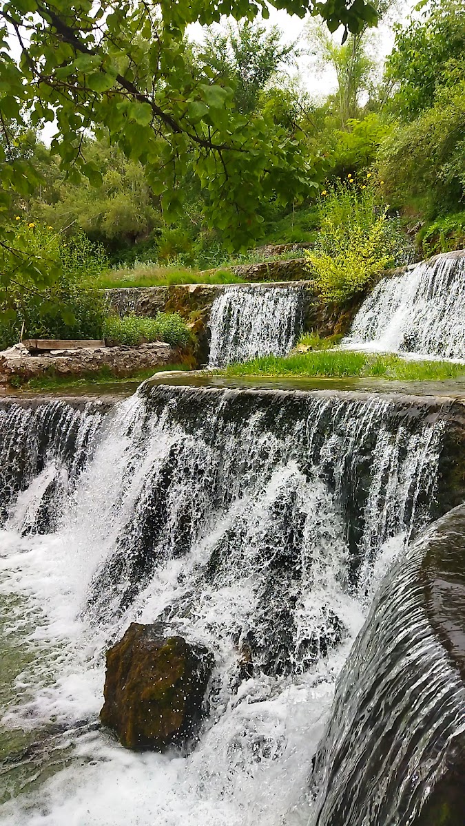 Kemah Soğuksular Aile Piknik Alanı — fotoğraf 2
