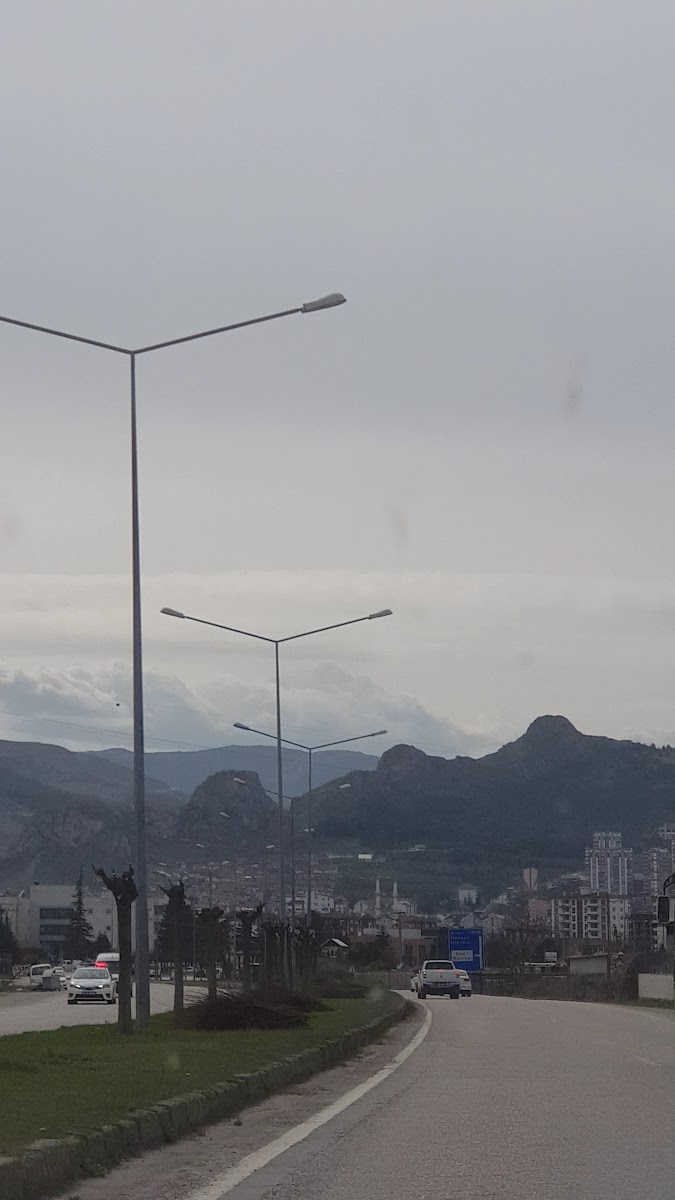 Kemal Aşık Ormanı — fotoğraf 3