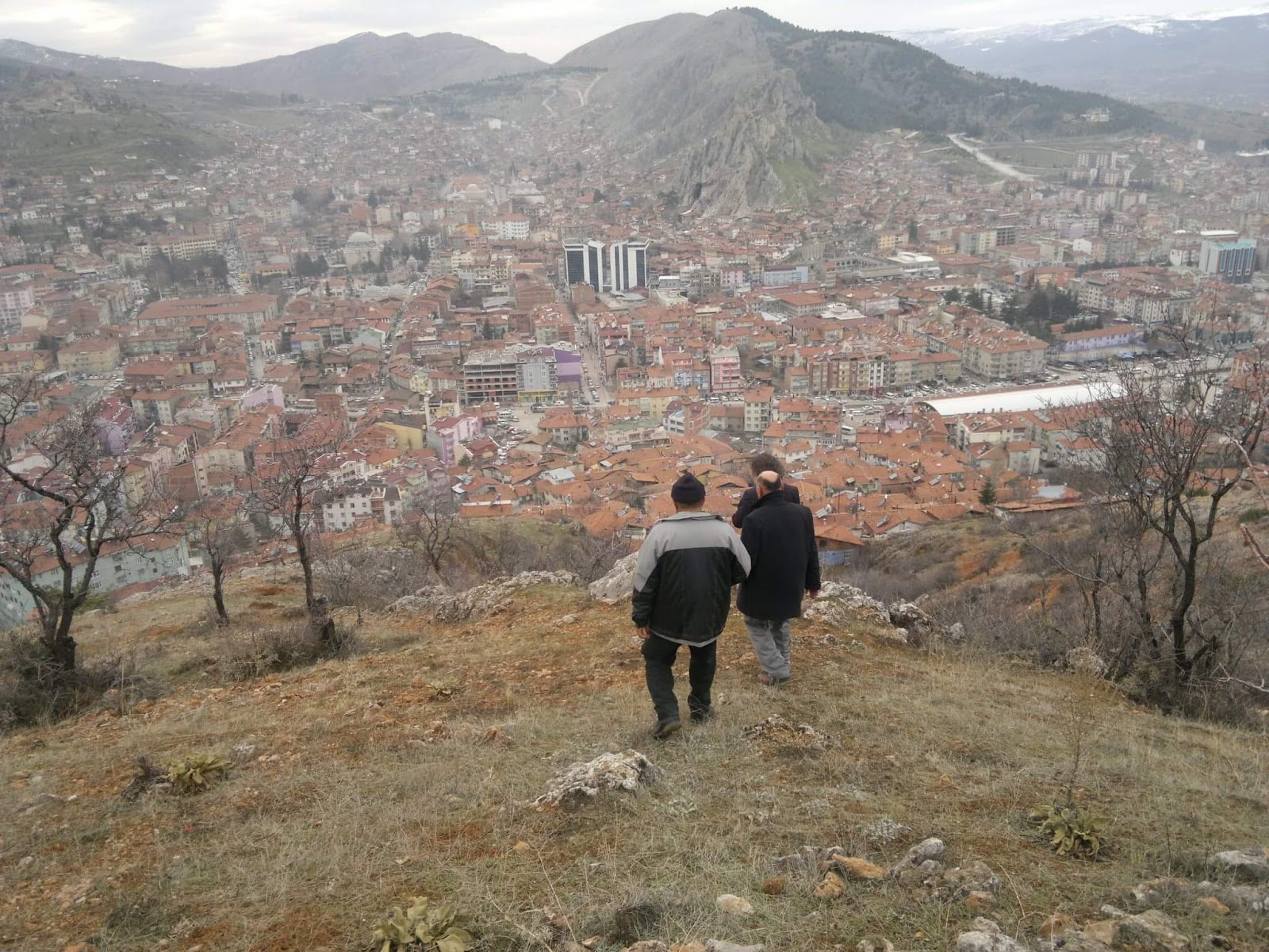 Kemal Aşık Ormanı — fotoğraf 5