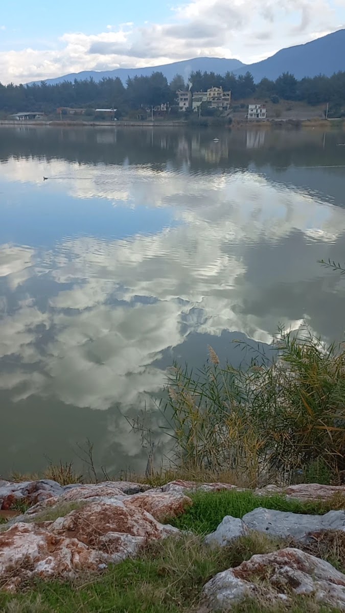 Kemalpaşa Savanda Göleti — photo 3