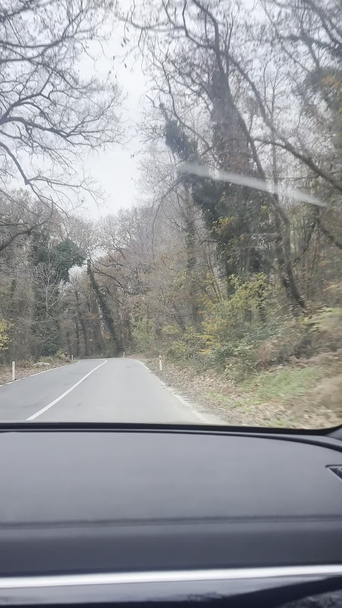 Kemerburgaz Kent Ormanı — fotoğraf 2