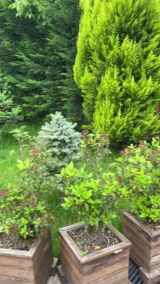 Kemikzade Konağı — fotoğraf 3