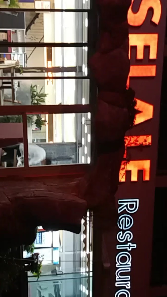 Kent 2 Şelale Pide — photo 3