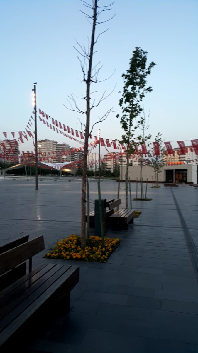 Kent Meydanı — fotoğraf 3