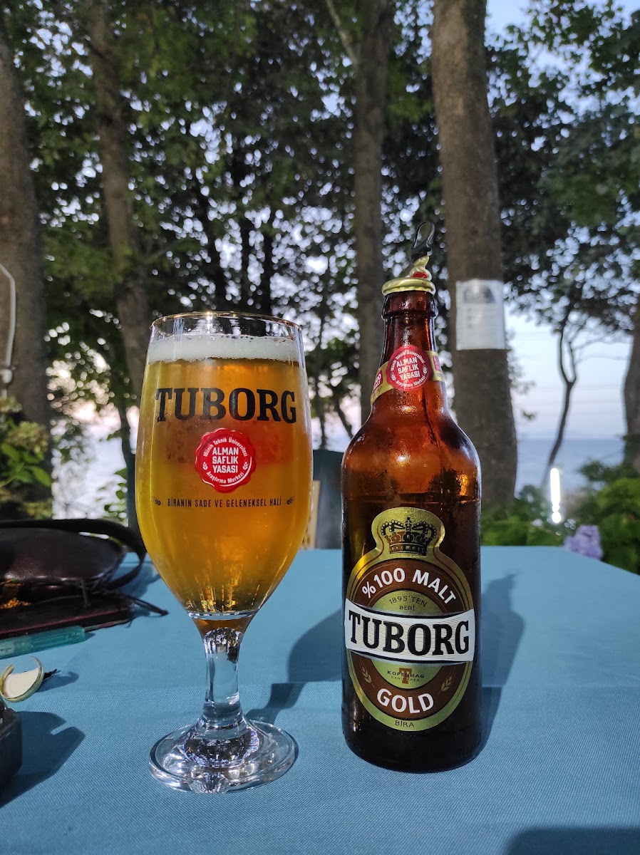 Kestanelik Aile Çay Bahçesi — fotoğraf 4